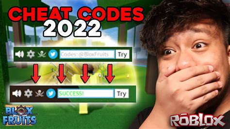 Here are some popular redeem codes that recently ceased to exist for Roblox Blox Fruits KittGaming 20 minutes of 2x experience. . Blox fruit cheats 2022